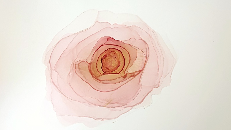 動画あり ふんわりグラデーションのバラの描き方 アルコールインクアート Asami S Art Lab