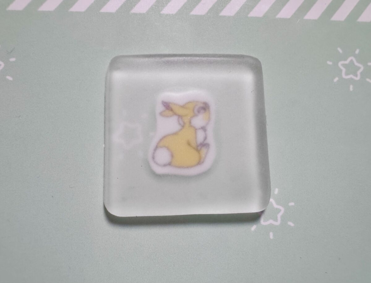 表から見たシール