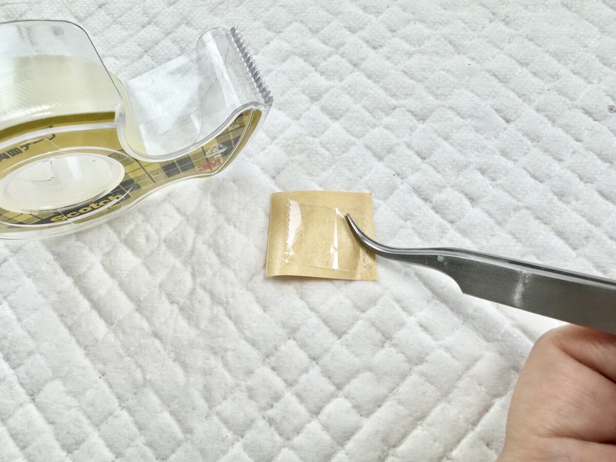 剥離紙に乗せた両面粘着テープ